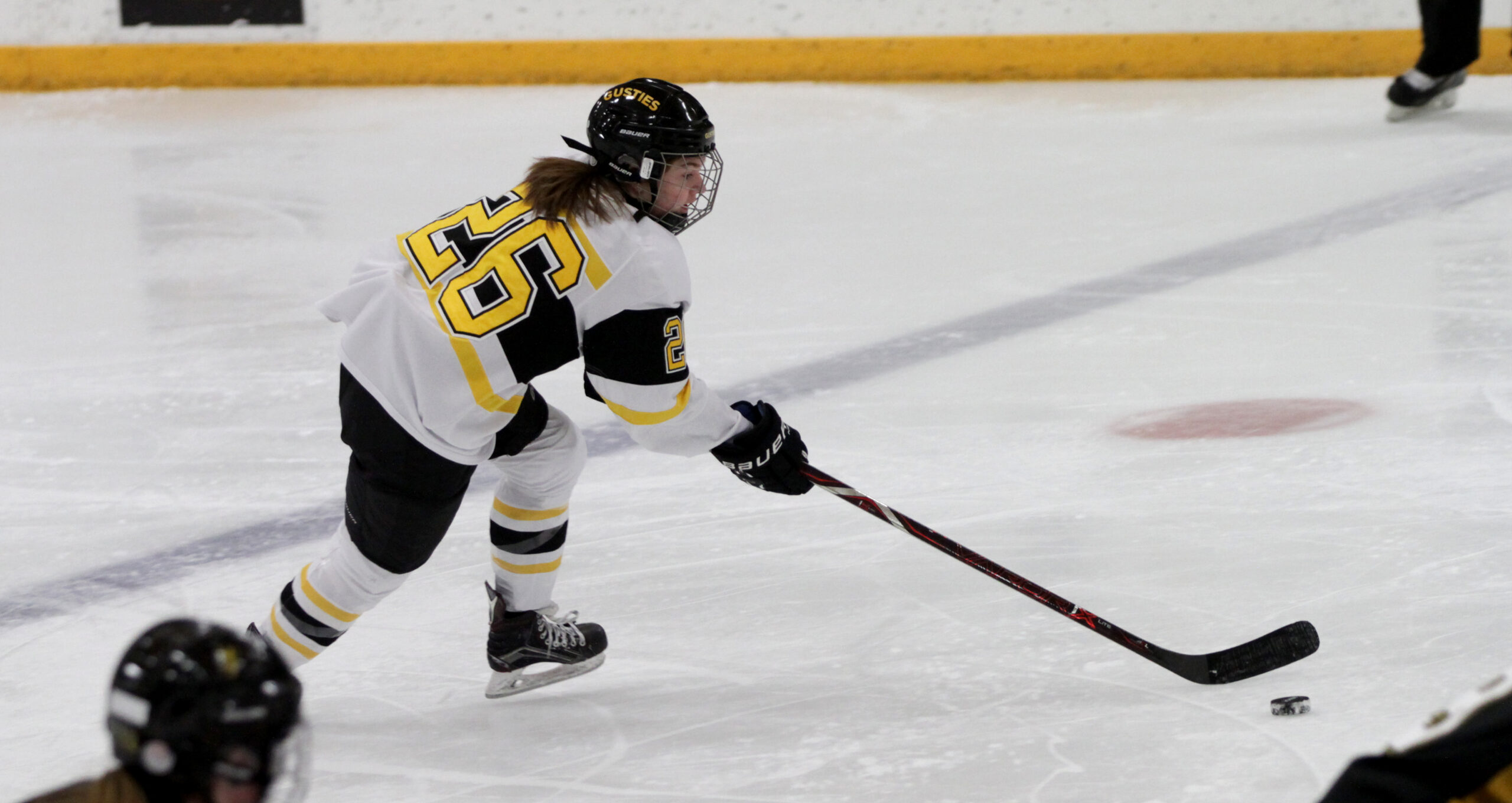 Women’s Hockey Takes on St. Thomas This Weekend