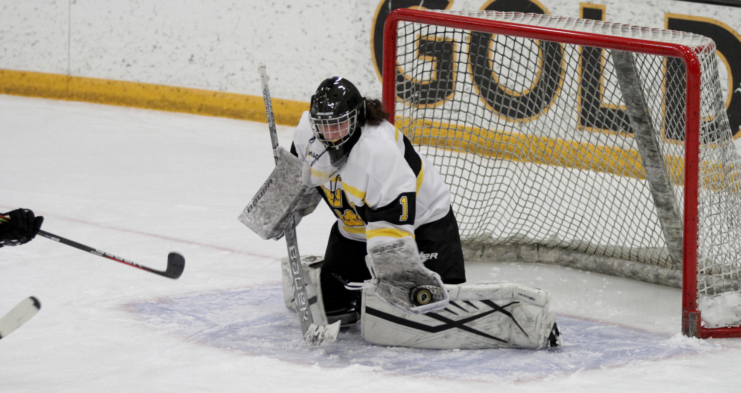 Women’s Hockey Blanks St. Thomas