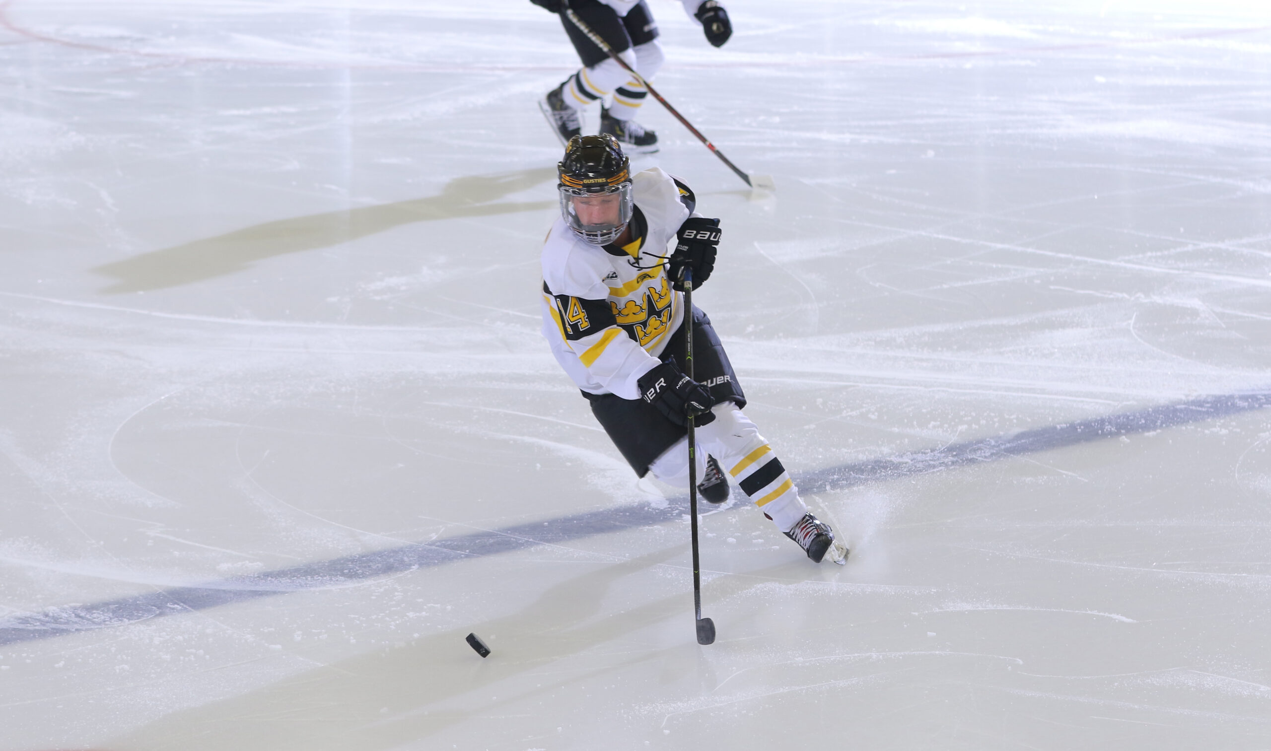 Women’s Hockey Defeats Saint Benedict 4-1