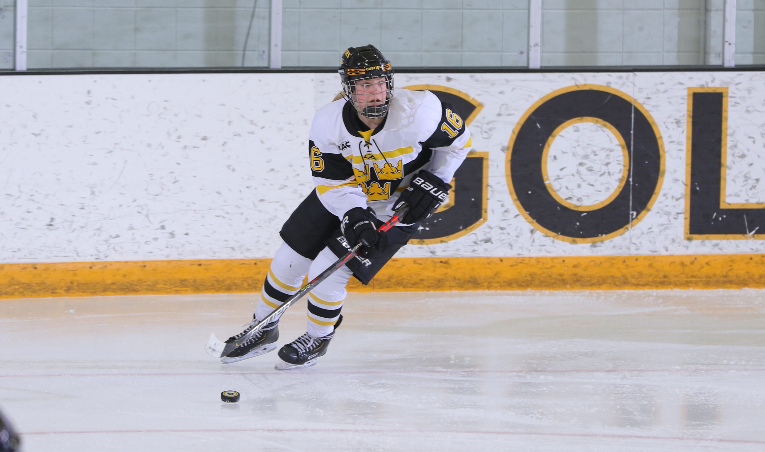 Women’s Hockey Blanks Concordia 4-0