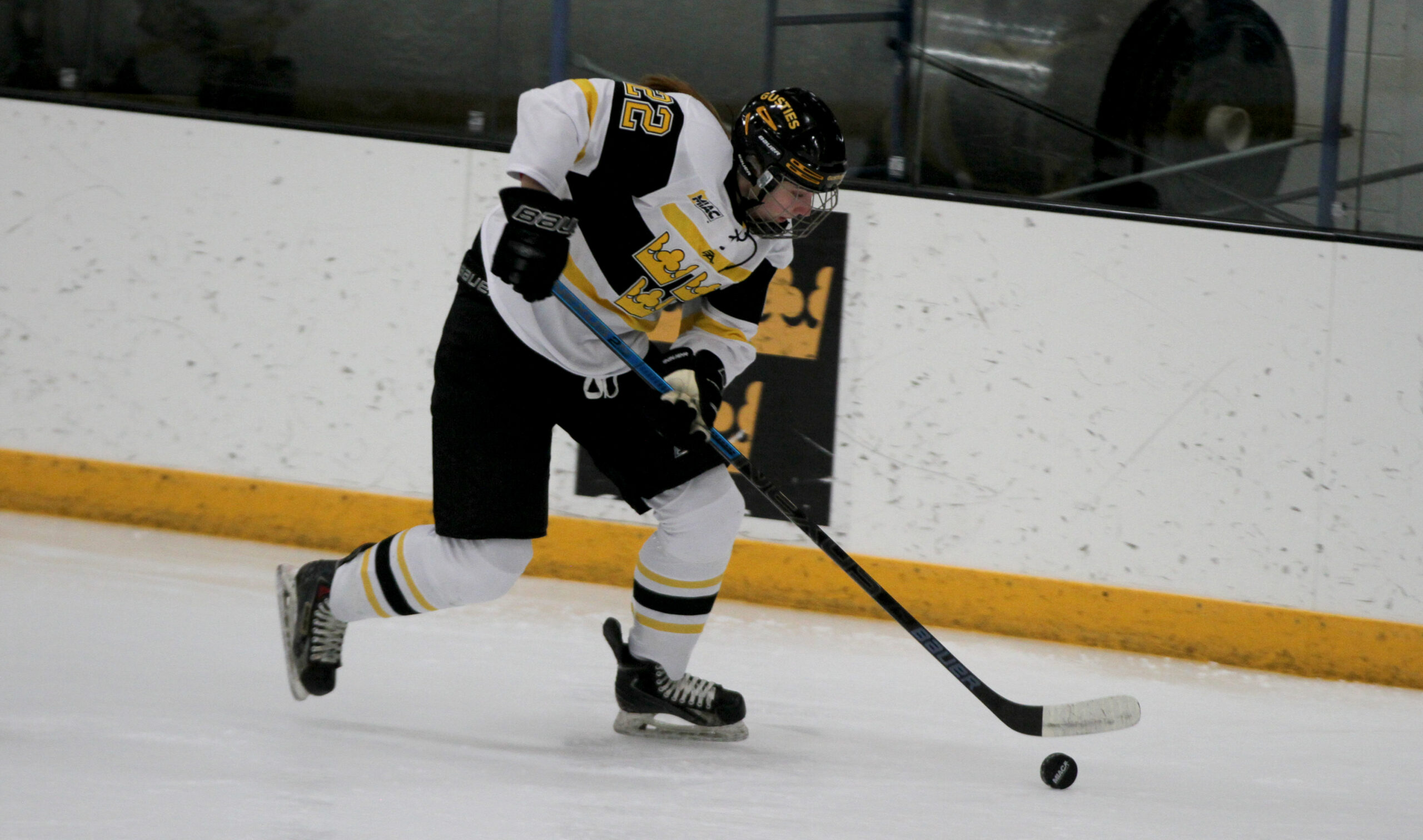 Women’s Hockey Sweeps Concordia