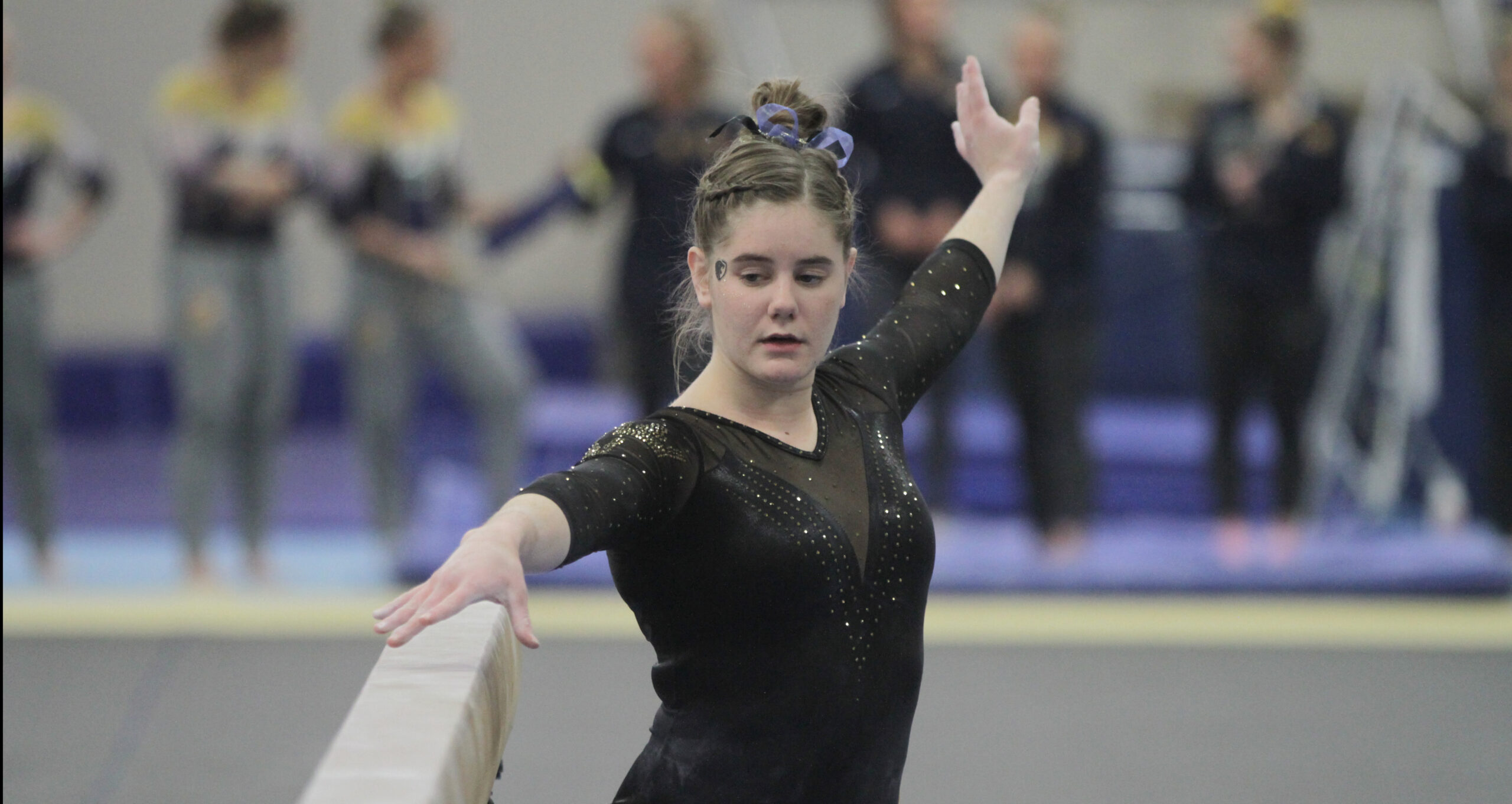 Gymnastics Scores 179.150 at Harley Meet