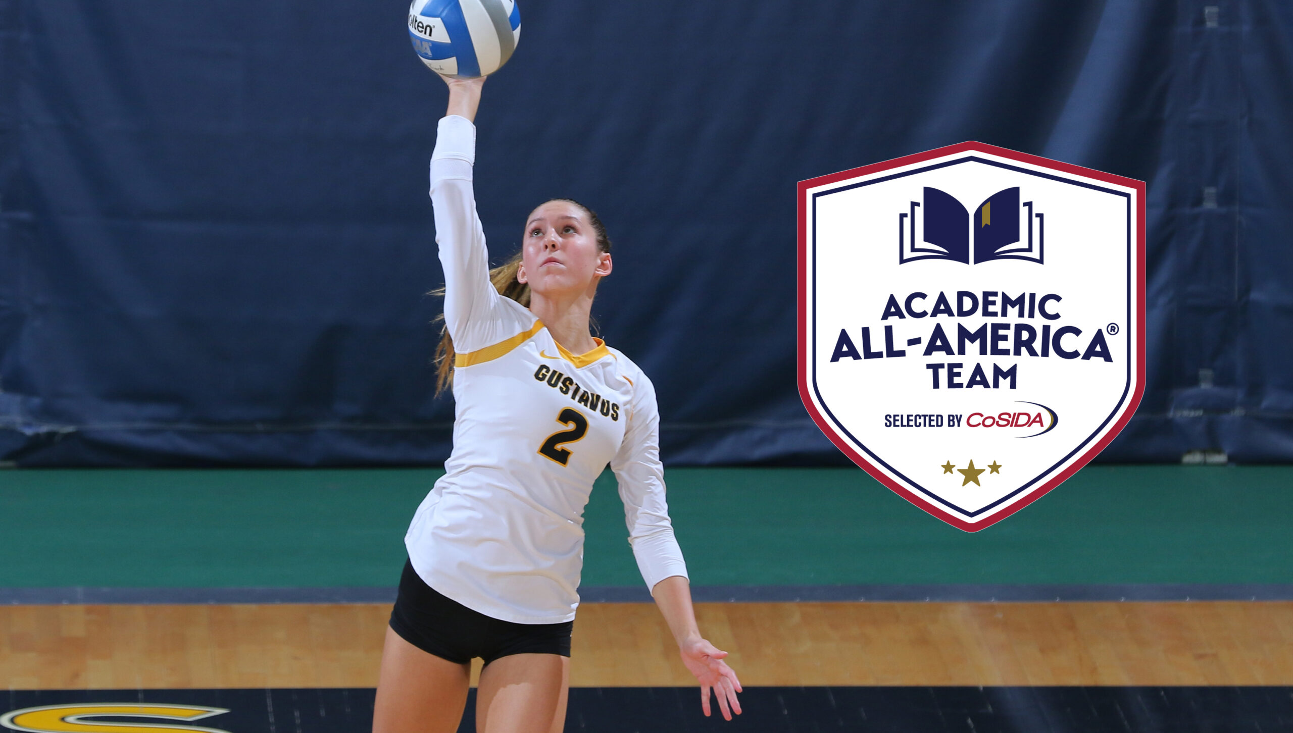 Holtan Selected CoSIDA Academic All-America Second Team