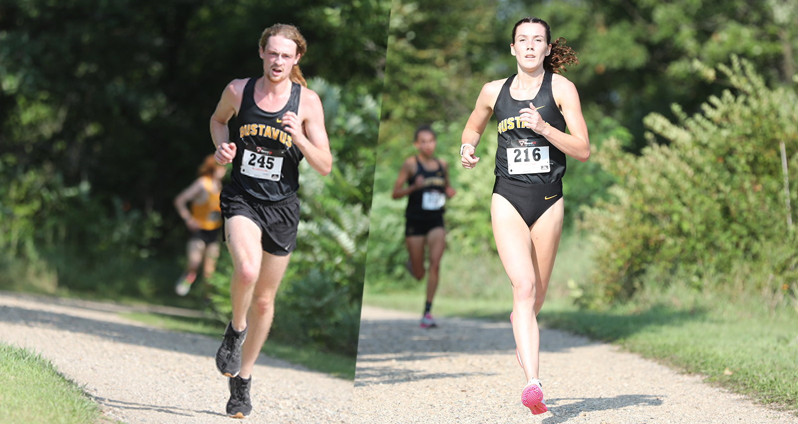 Cross Country Competes Against Strong Field at St. Olaf, Stumbo Claims Individual Honors