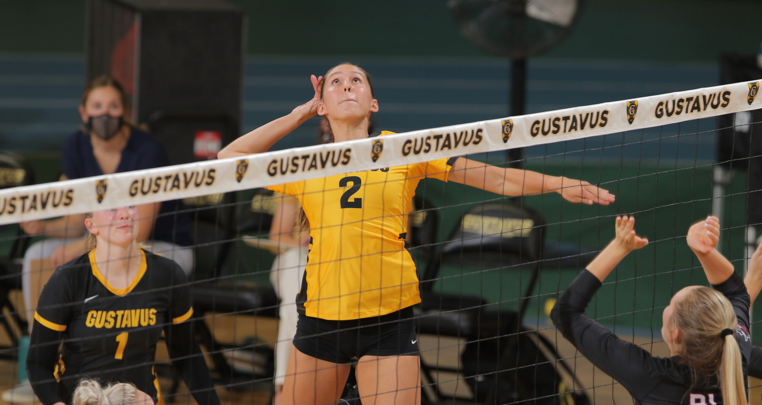 Holtan Selected to CoSIDA Academic All-District Volleyball Team