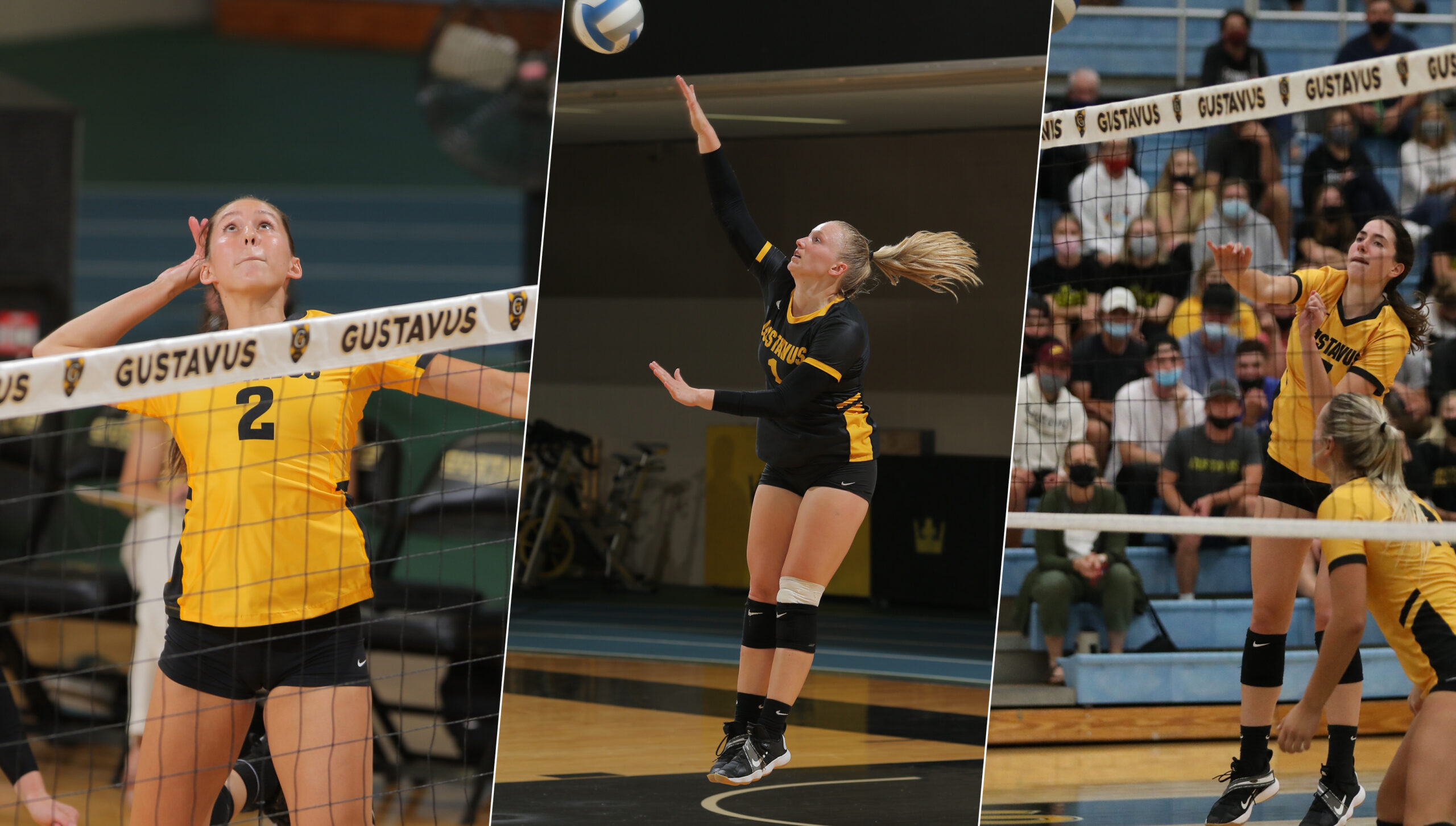 Holtan Named MIAC Player of the Year, Embacher Earns Defensive Player of the Year