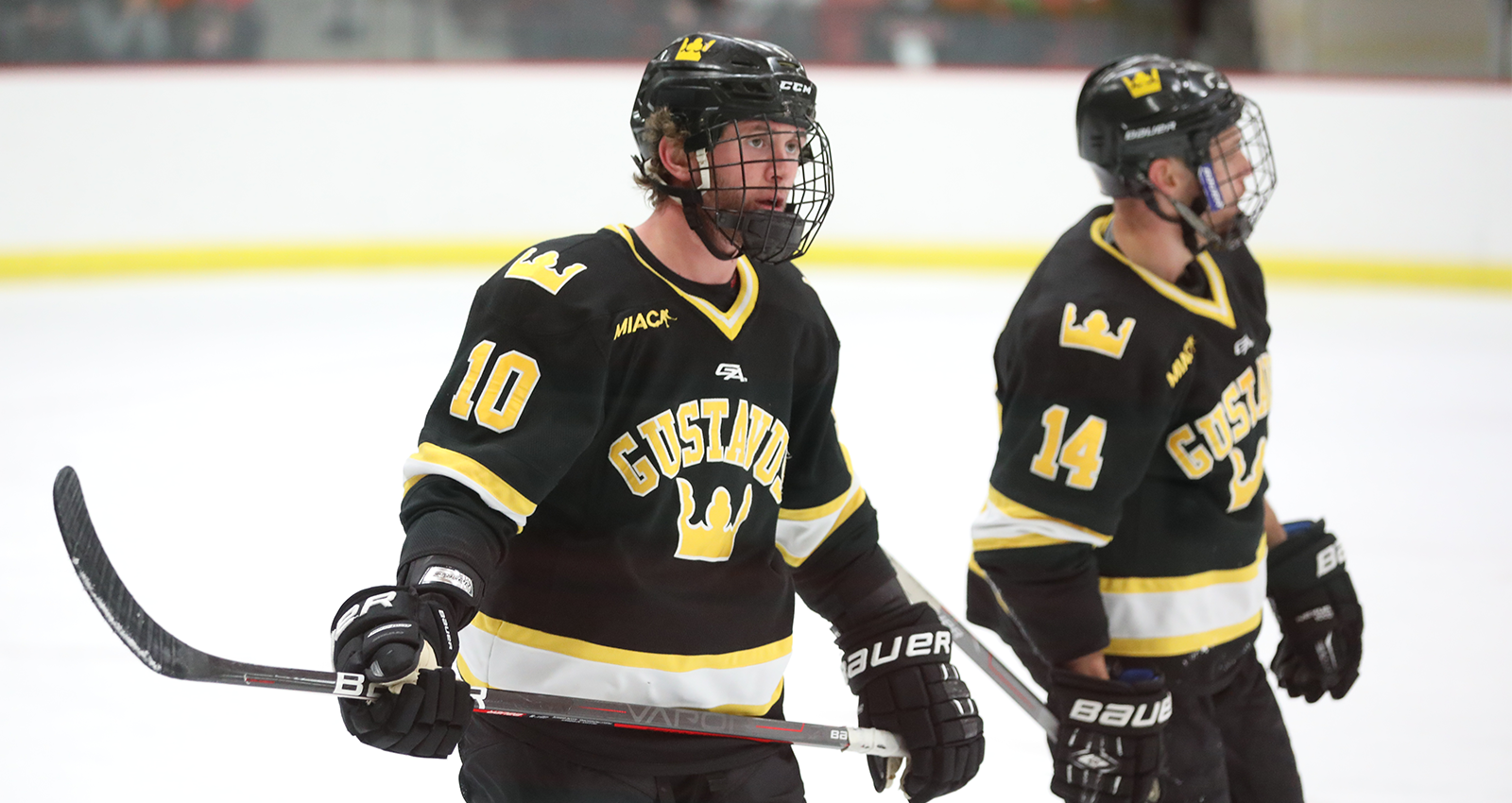 Men’s Hockey Loses 3-1 to No. 12 UW-River Falls