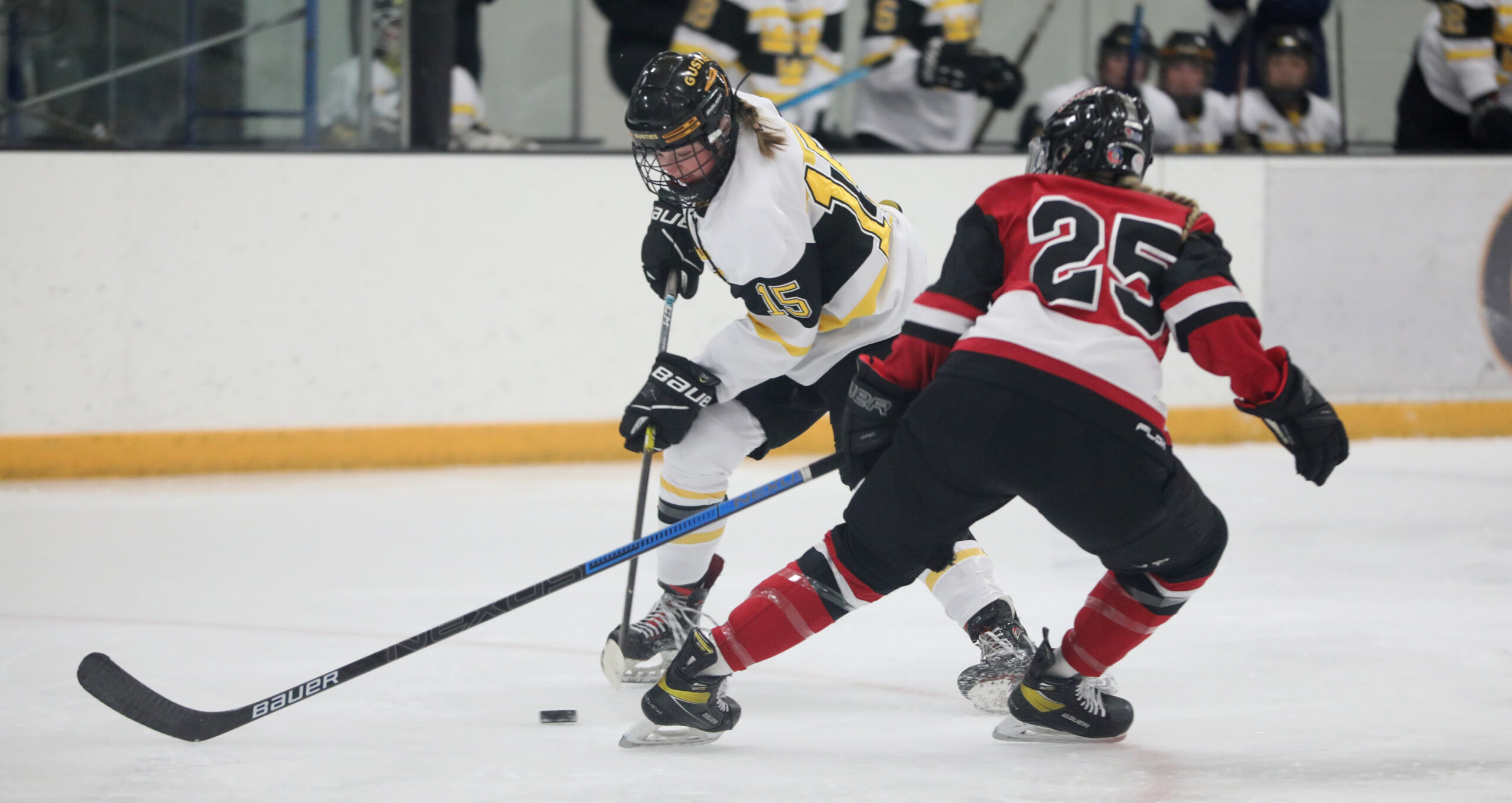 Women’s Hockey Drops Top-10 Matchup Against UW-River Falls