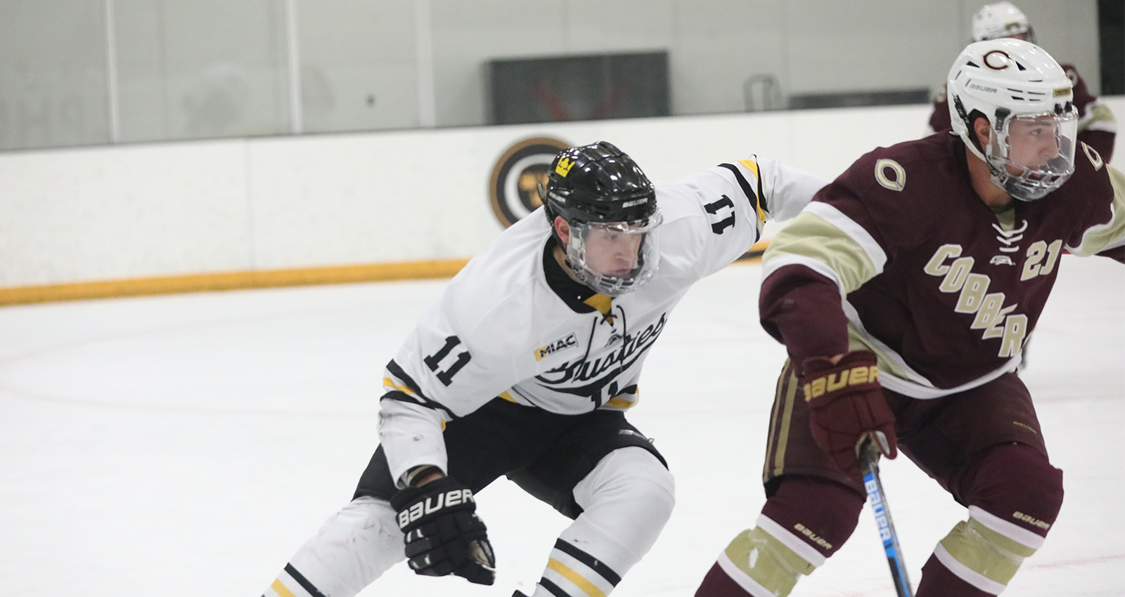 Men’s Hockey Swept By Concordia