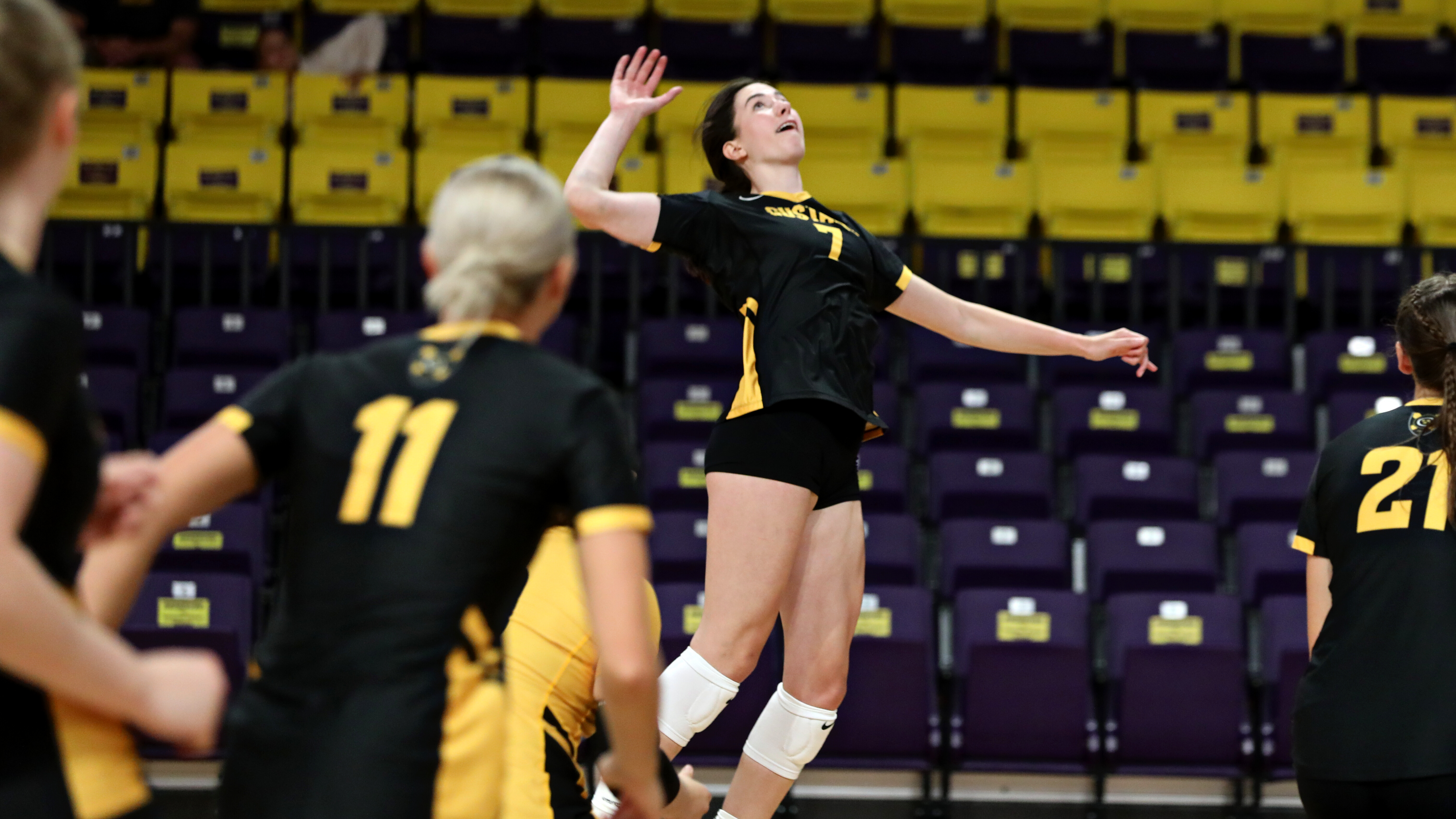 Gusties Go Undefeated at Ithaca Bomber Invitational