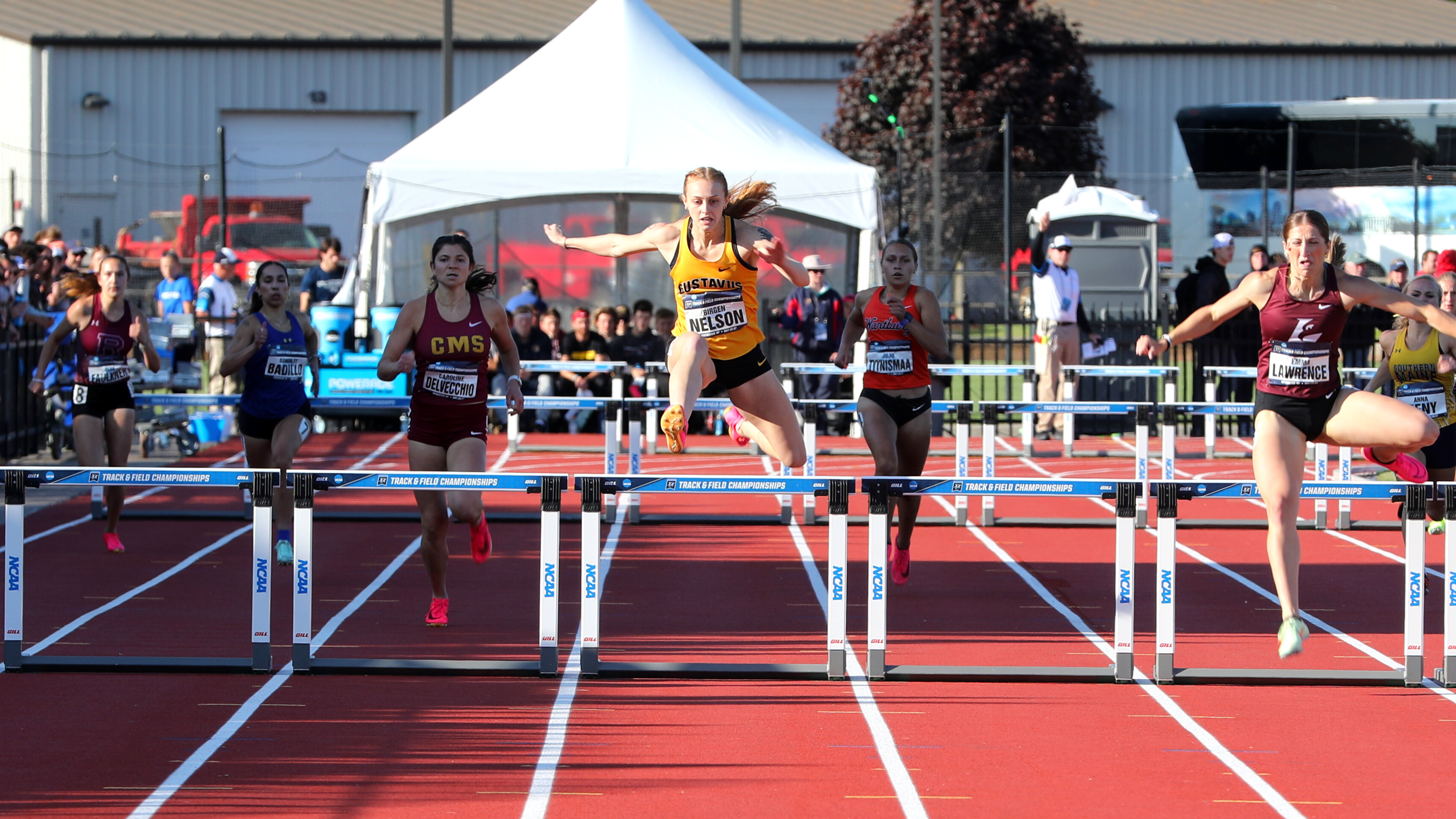 Nelson Qualifies for 400H Finals at NCAA Championships